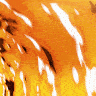 Logo de ${server.name}